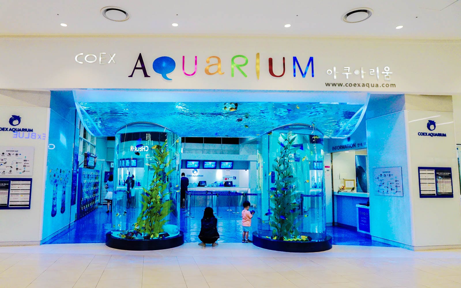 Book COEX Aquarium Tickets 2023 Book COEX Aquarium Tickets 2023